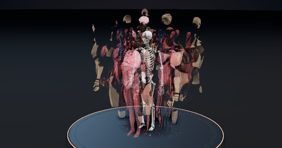 Actual Anatomy Studio showing a human body mid-explosion: translucent skin regions and muscles fanned outward from the skeleton, with organs, vessels and nerves separated in layers
