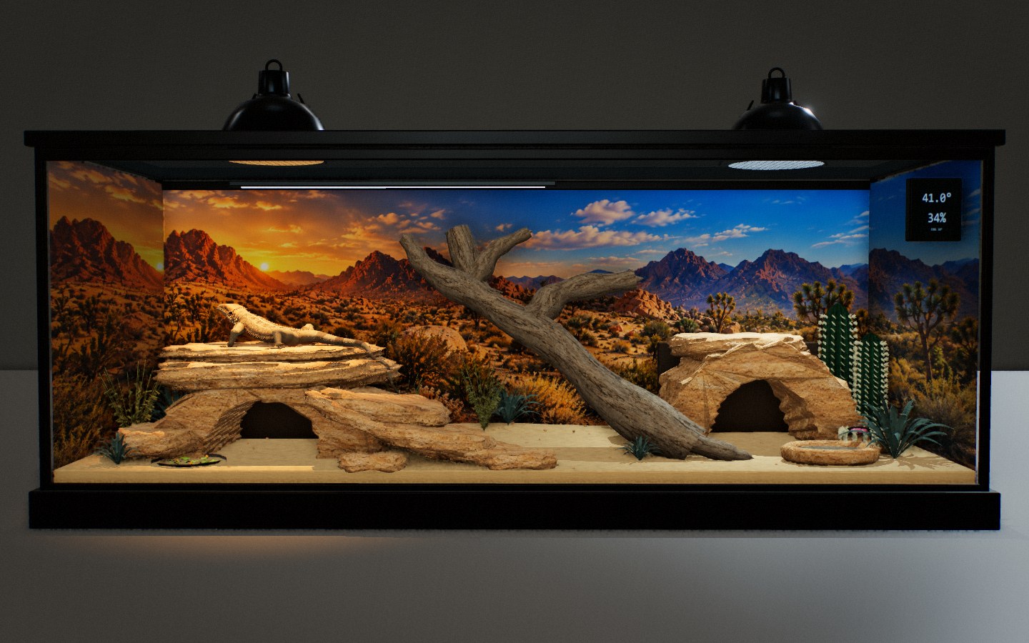 The actual desert terrarium with a bearded dragon on a sandstone ledge, overhead lamps, rock hides, driftwood, food and a shallow water dish