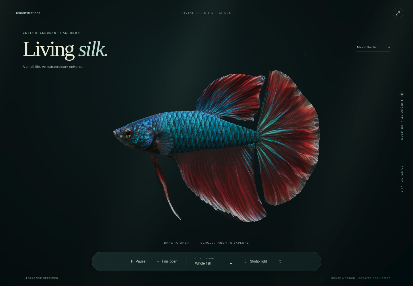 The actual Living Silk 3D showcase: an iridescent turquoise Betta with broad translucent crimson fins against dark water