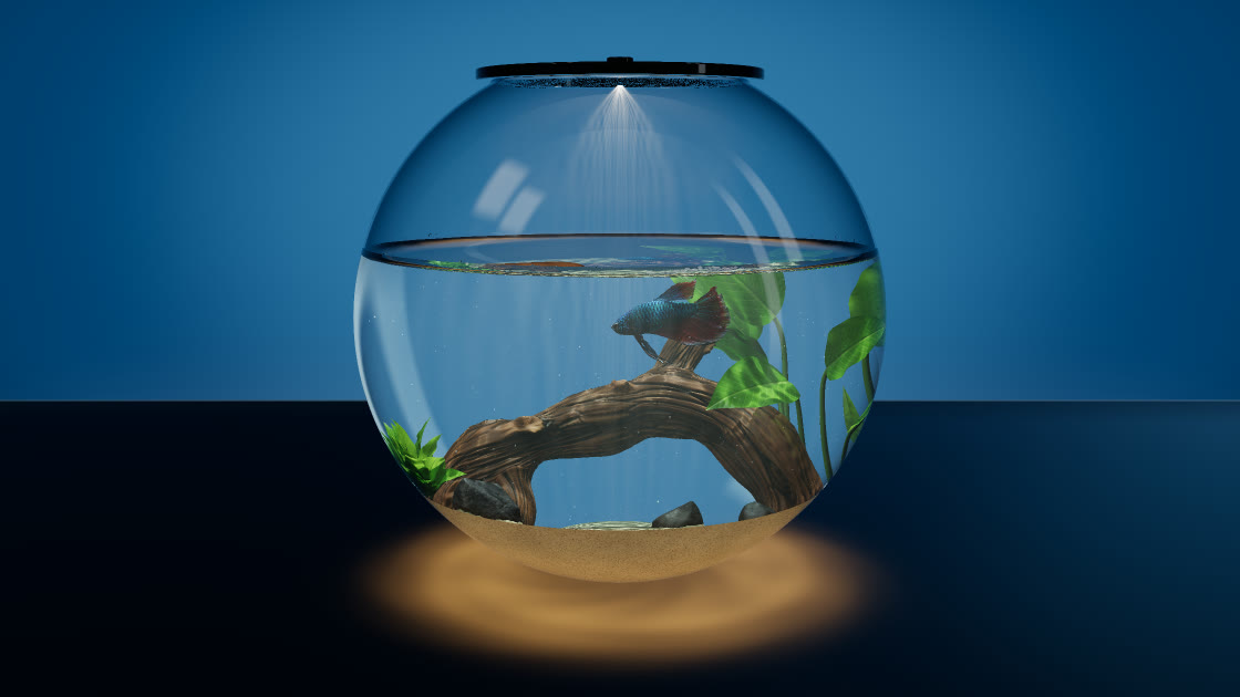 A round glass betta bowl with a black lid and lamp on a dark table in front of a blue backdrop, a turquoise and crimson betta above a driftwood arch, dark rocks and green plants on golden sand