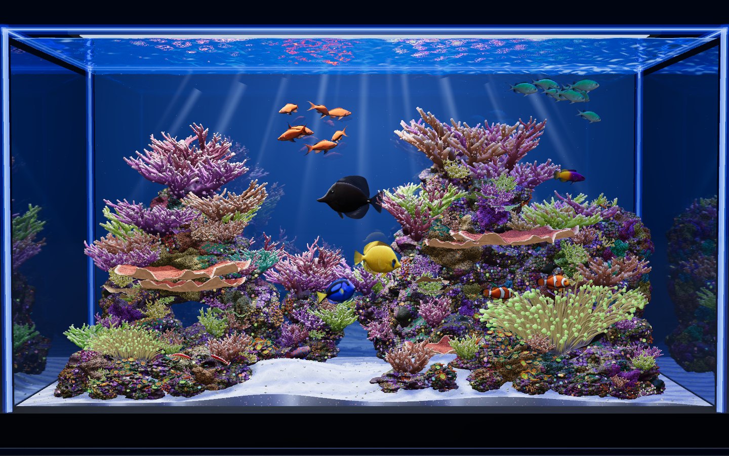 The 3D reef aquarium: two coral-covered live rock islands in blue-lit water, a sand channel between them, with tangs, clownfish and a school of anthias