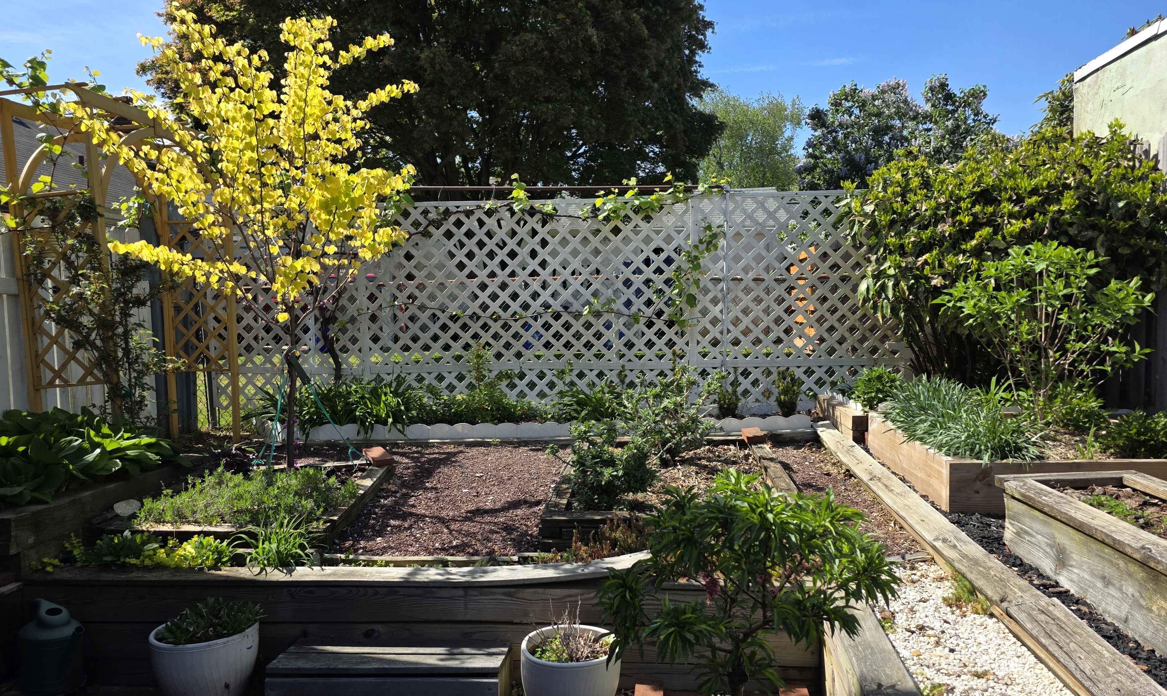 Garden overview mid-April 2026